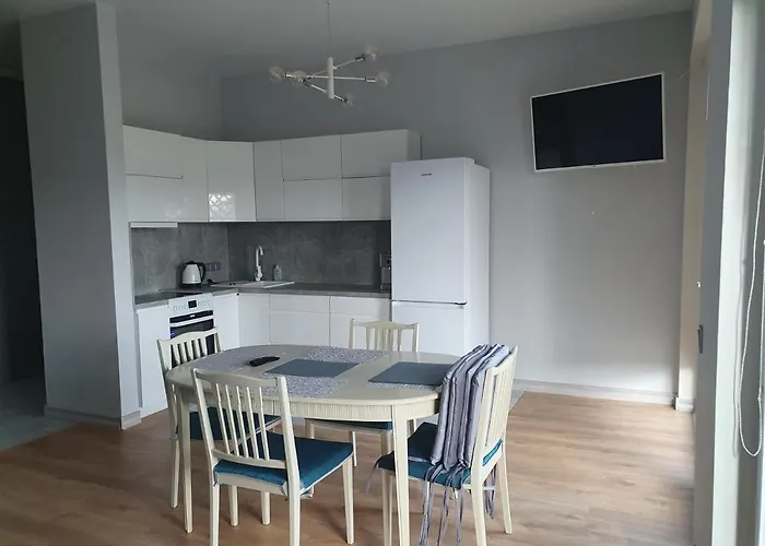 Vieno Miegamojo Apartamentai דירה *